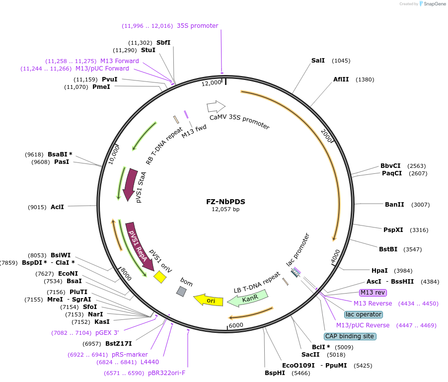 363057_map