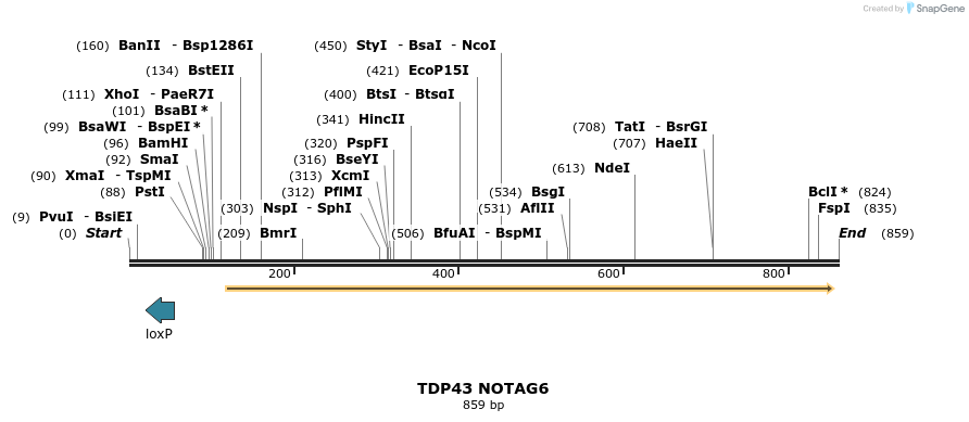 36309_map