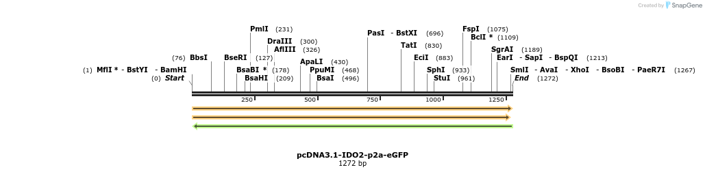 363107_map