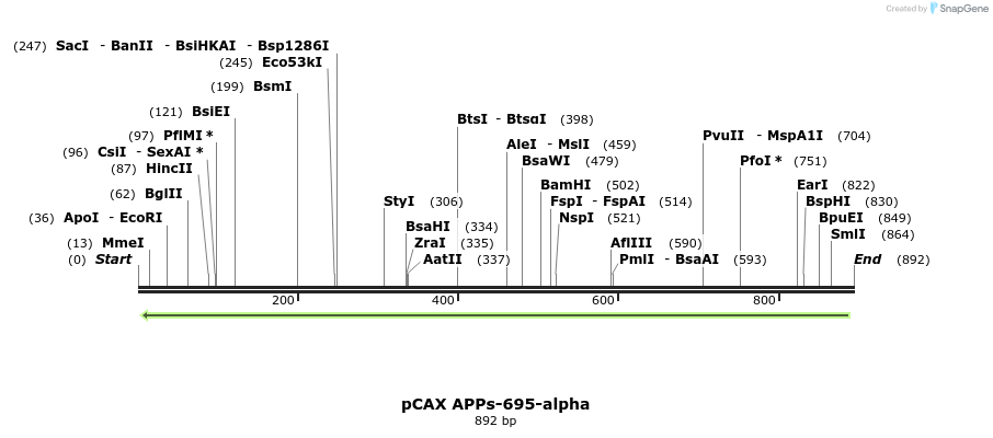 36312_map