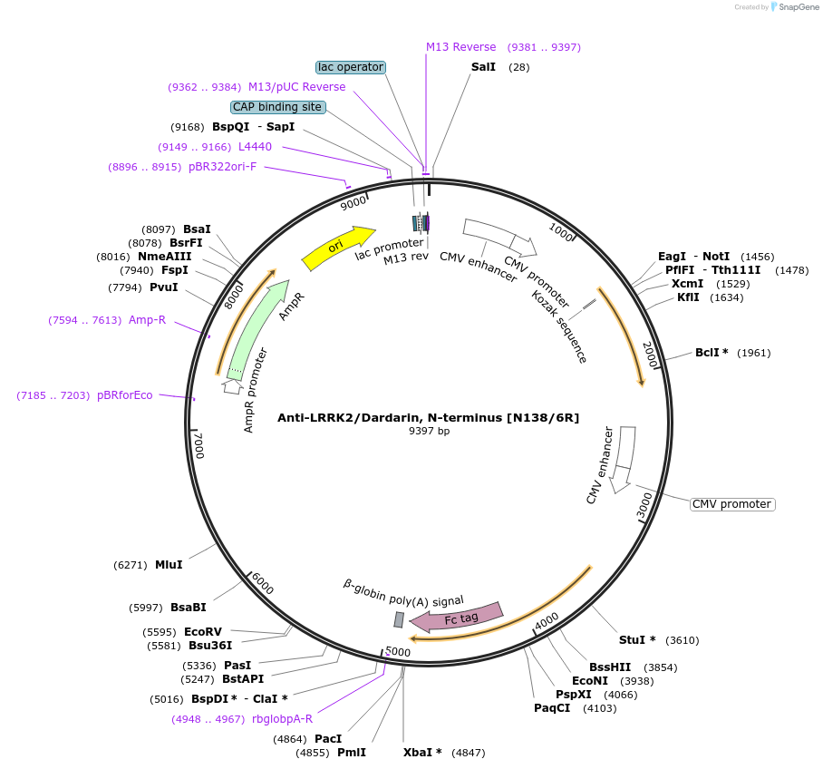 182104-plasmid-map-sequence-id-363149