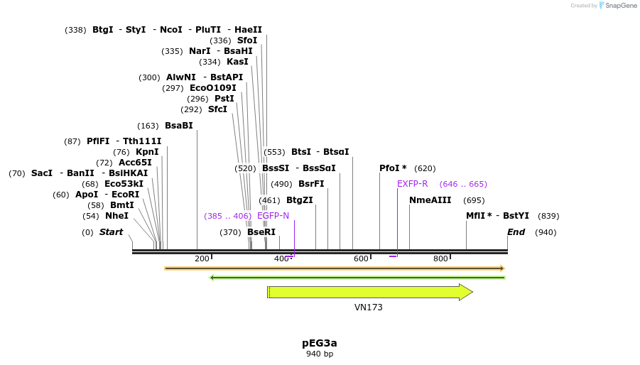 36319_map