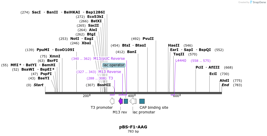 36330_map