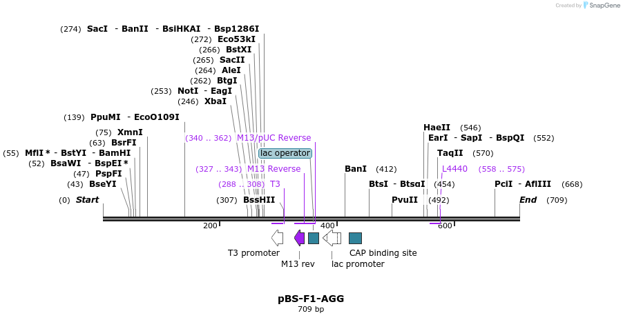 36332_map
