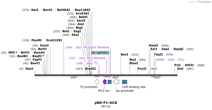 36333_map