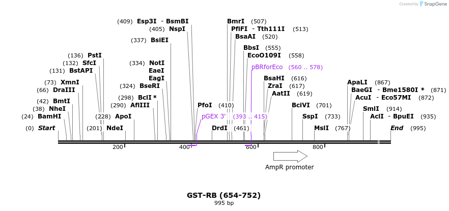 36350_map