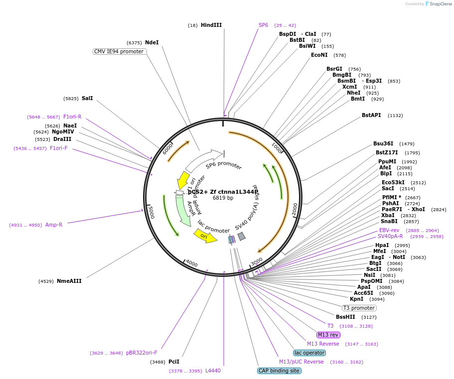 363554_map