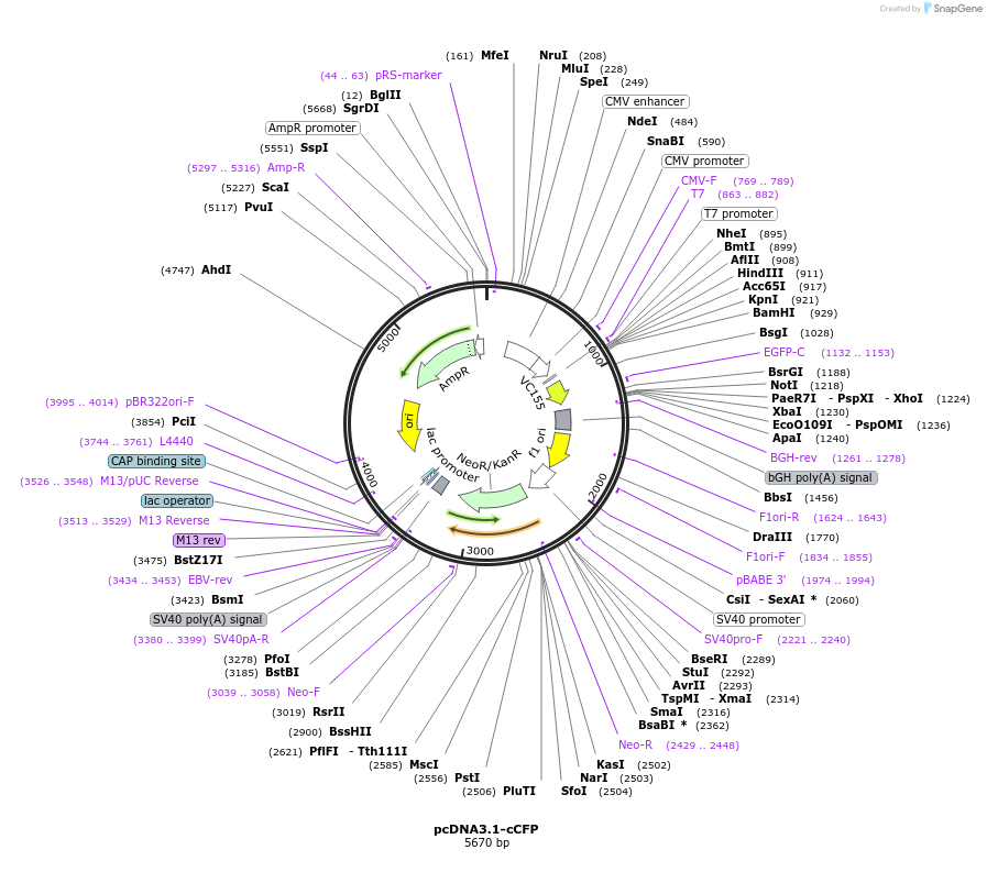 363642_map