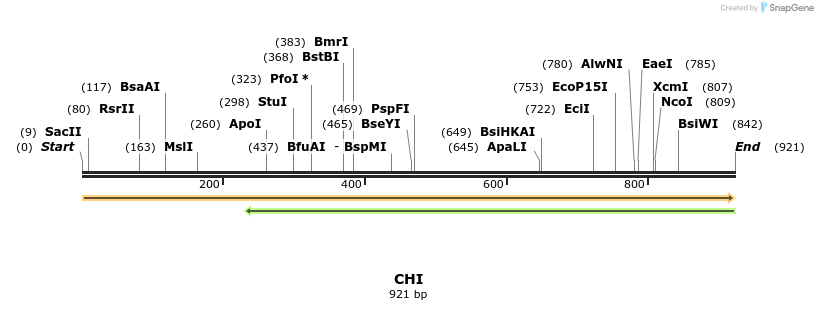 363689_map