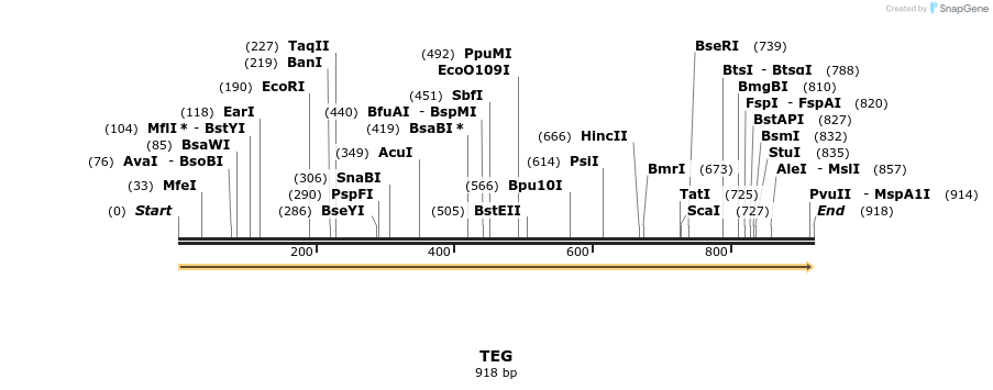 363699_map