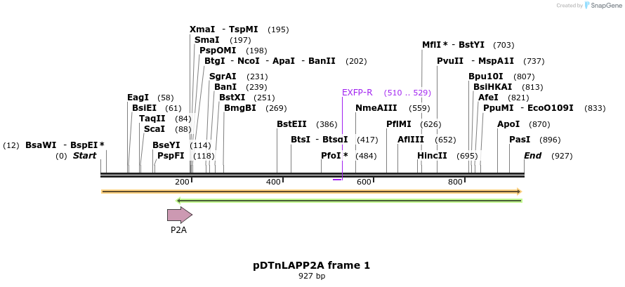 36370_map