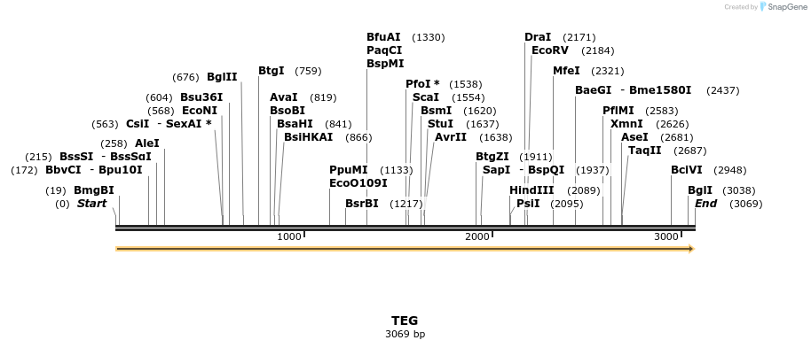 363700_map