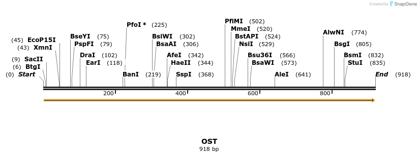 363701_map