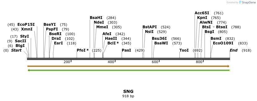 363703_map