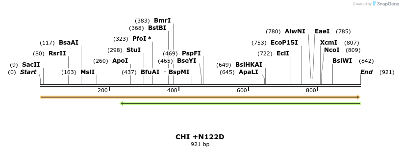 363709_map