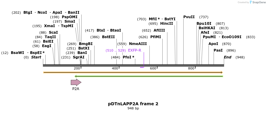 36371_map