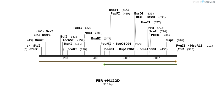 363711_map