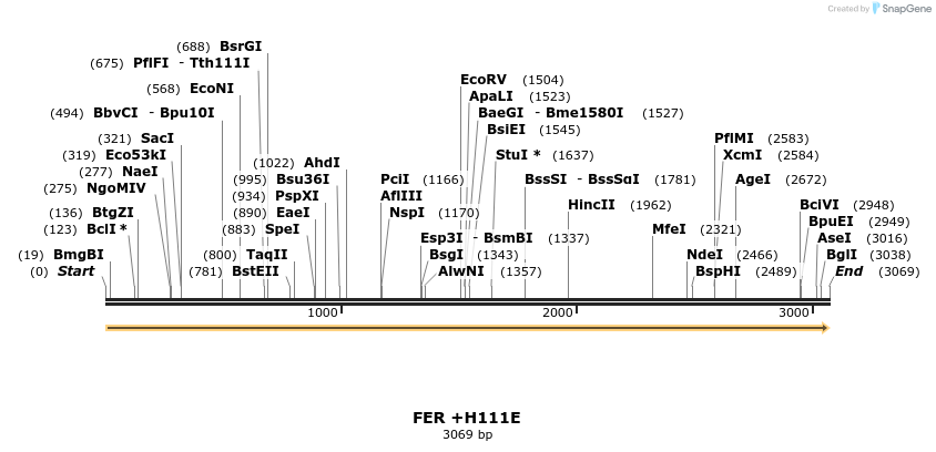 363714_map