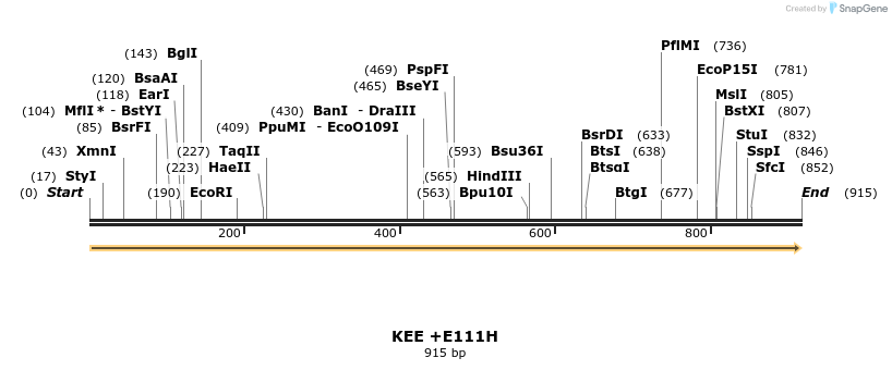 363718_map