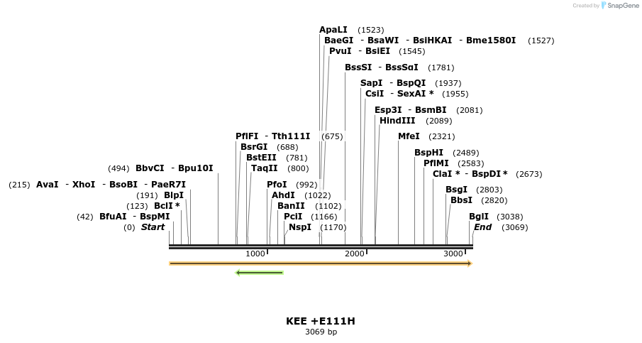 363719_map