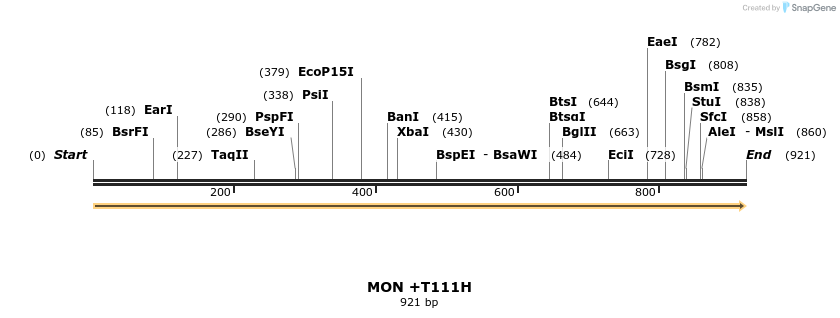 363722_map