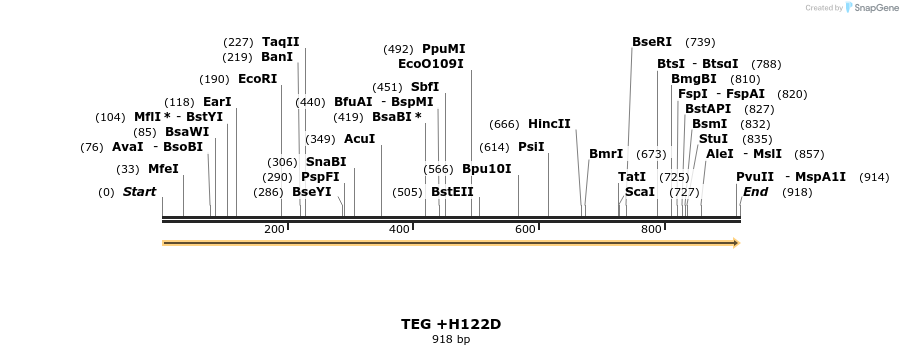 363727_map