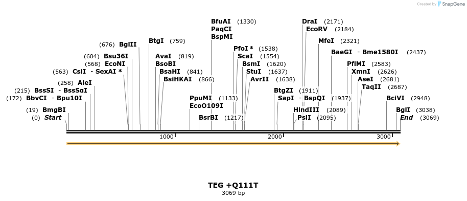 363730_map