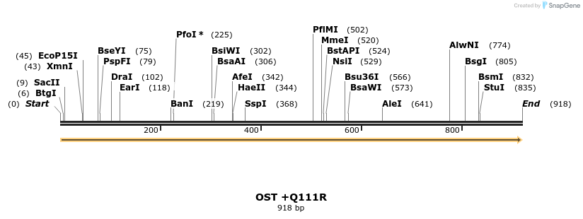 363731_map