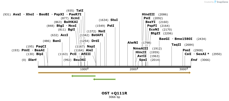 363732_map