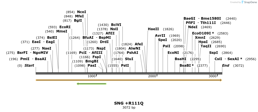 363736_map