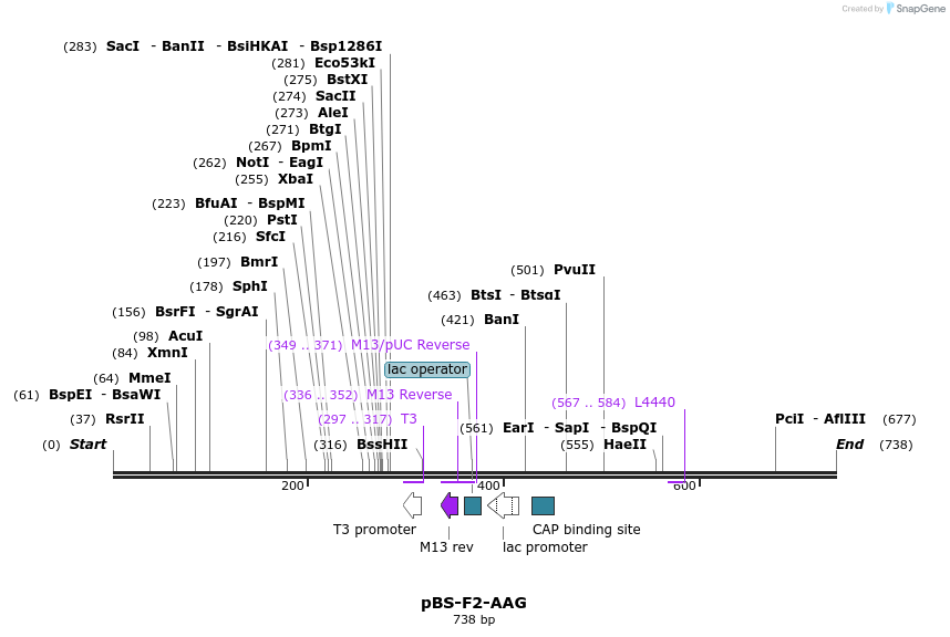 36375_map