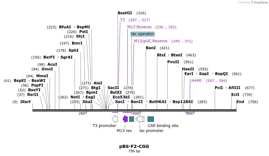 36380_map