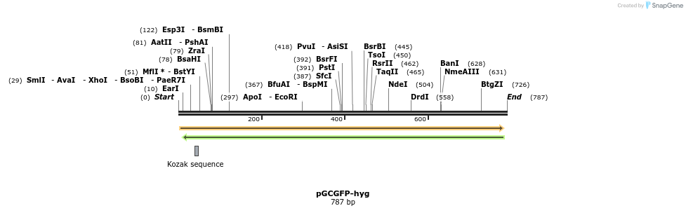 36388_map