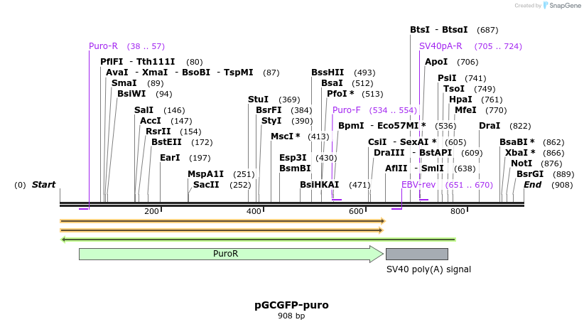 36391_map