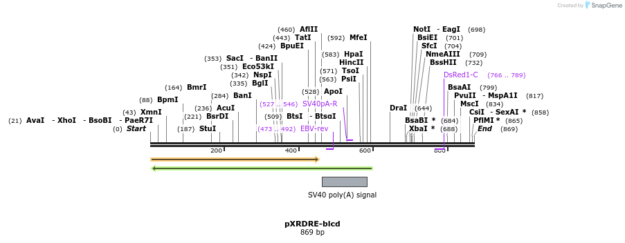36394_map