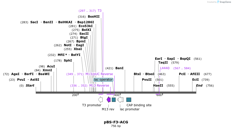36401_map