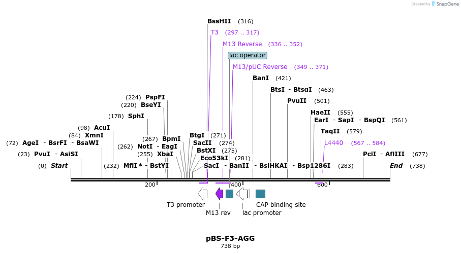 36402_map