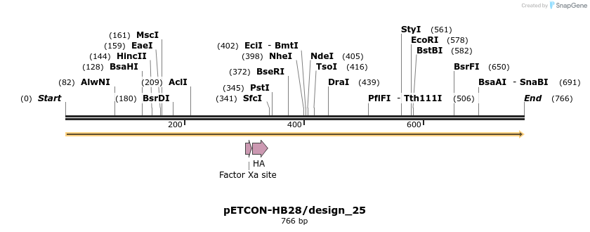 36405_map