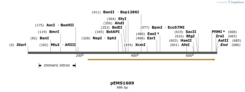 36407_map