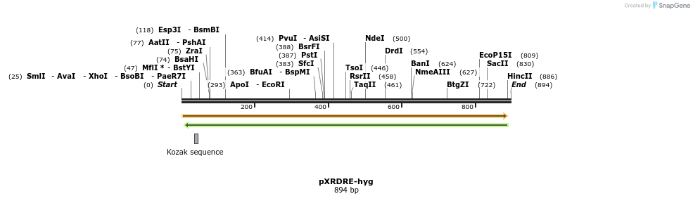 36410_map