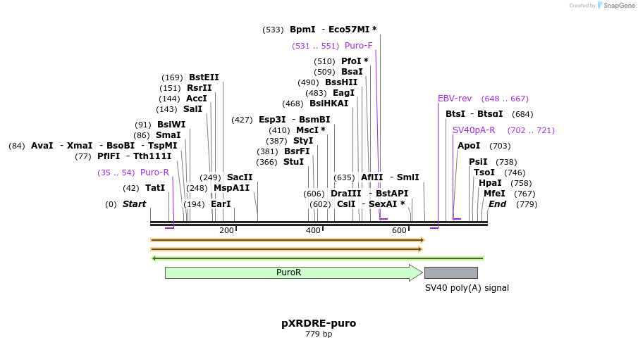 36411_map