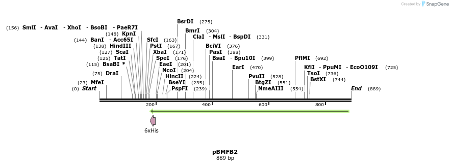 36412_map
