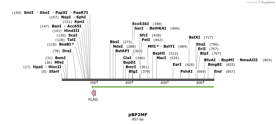 36413_map