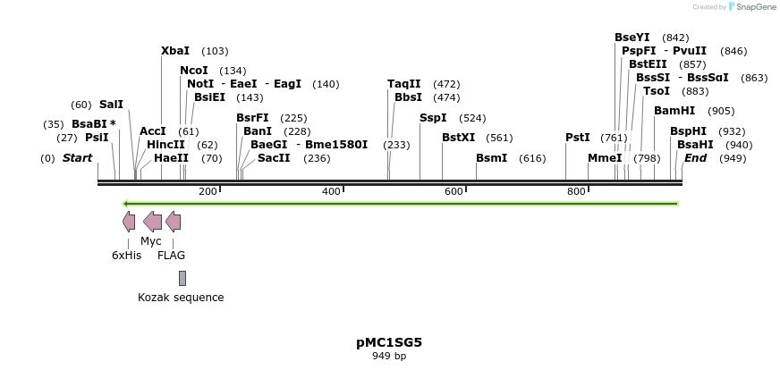 36417_map