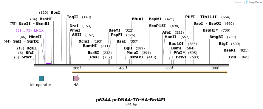 36422_map