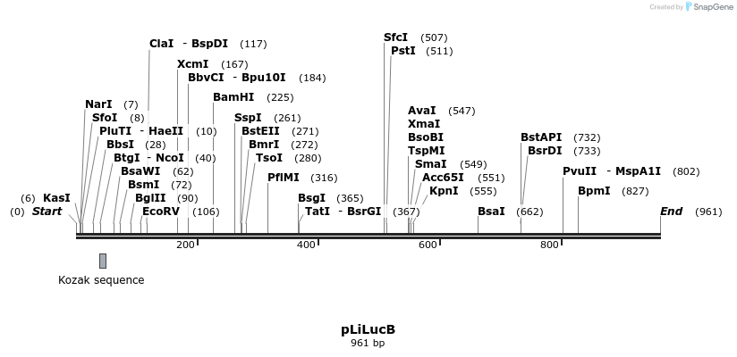 36436_map