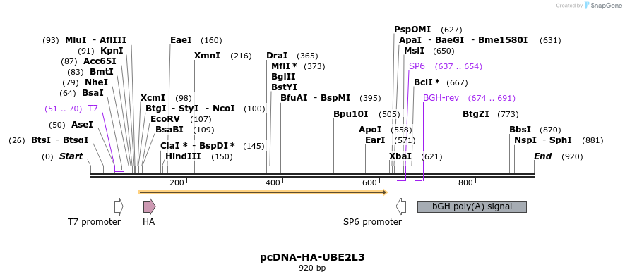 36441_map