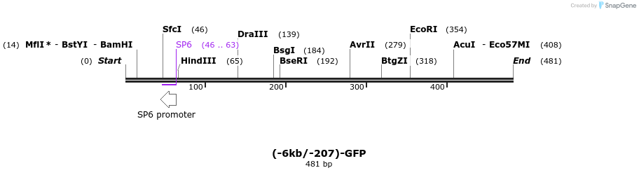 36444_map