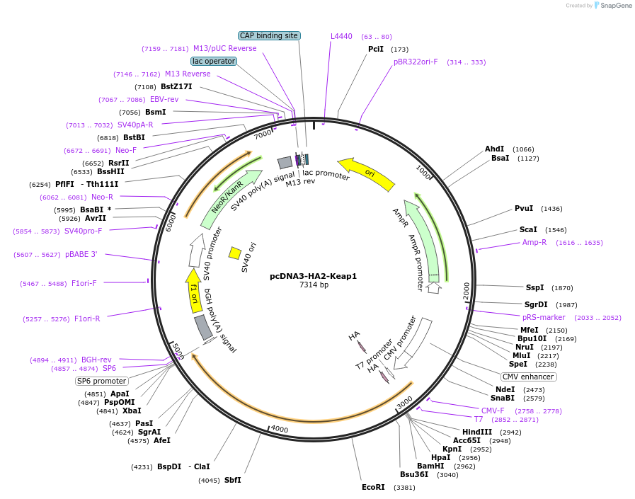 364702_map