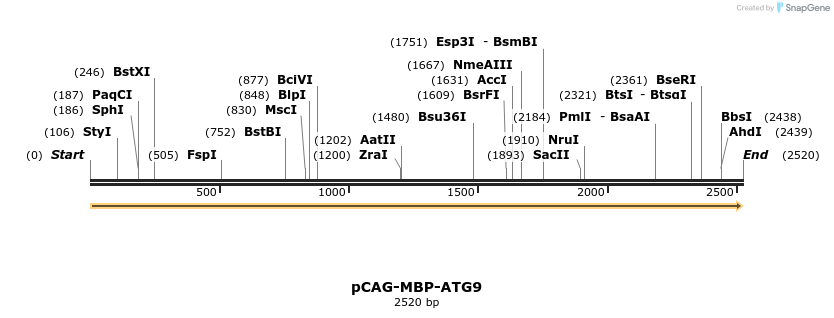 364938_map